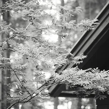 Mountain Hut Hochpillberg Tirol * Pill